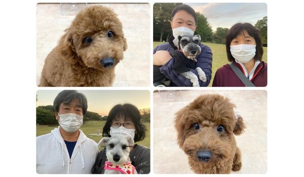 犬のしつけ教室・出張レッスン・無駄吠えの矯正レッスンを行うドッグスクール ヴィッセの今日のわん子達。～10月30日 