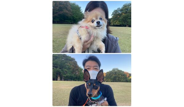 犬のしつけ教室・出張レッスン・無駄吠えの矯正レッスンを行うドッグスクール ヴィッセの今日のわん子達。～11月2日 