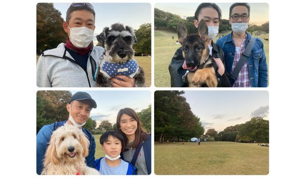 犬のしつけ教室・出張レッスン・無駄吠えの矯正レッスンを行うドッグスクール ヴィッセの今日のわん子達。～11月6日 