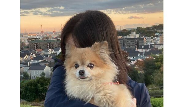 犬のしつけ教室・出張レッスン・無駄吠えの矯正レッスンを行うドッグスクール ヴィッセの今日のわん子～11月16日 