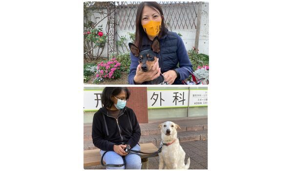 犬のしつけ教室・出張レッスン・無駄吠えの矯正レッスンを行うドッグスクール ヴィッセの今日のわん子達～11月17日 
