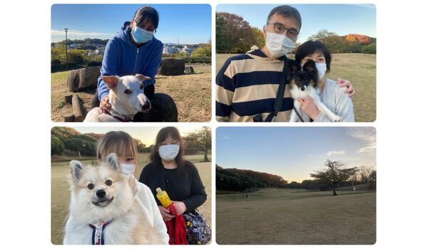 犬のしつけ教室・出張レッスン・無駄吠えの矯正レッスンを行うドッグスクール ヴィッセの今日のわん子達。～11月25日 