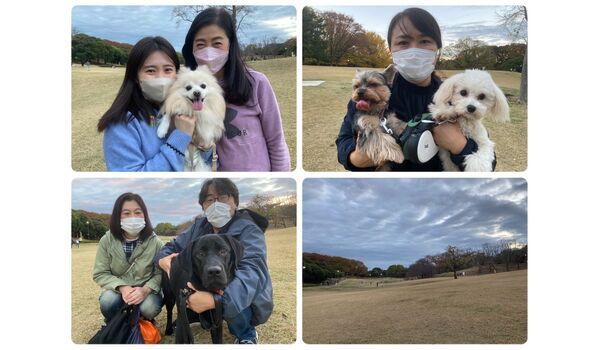 犬のしつけ教室・出張レッスン・無駄吠えの矯正レッスンを行うドッグスクール ヴィッセの今日のわん子達。～11月27日 
