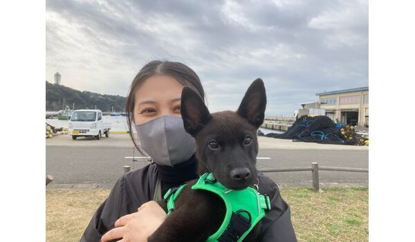 犬のしつけ教室・出張レッスン・無駄吠えの矯正レッスンを行うドッグスクール ヴィッセの今日のわん子～。～11月29日 