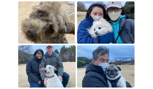 犬のしつけ教室・出張レッスン・無駄吠えの矯正レッスンを行うドッグスクール ヴィッセの今日のわん子達。～12月17日 