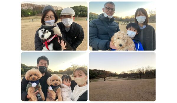 犬のしつけ教室・出張レッスン・無駄吠えの矯正レッスンを行うドッグスクール ヴィッセの今日のわん子達。～12月18日 