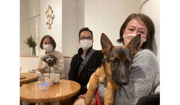 犬のしつけ教室・出張レッスン・無駄吠えの矯正レッスンを行うドッグスクール ヴィッセの今日のわん子達。～12月28日 