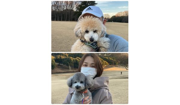 犬のしつけ教室・出張レッスン・無駄吠えの矯正レッスンを行うドッグスクール ヴィッセの今日のわん子達。～1月12日 