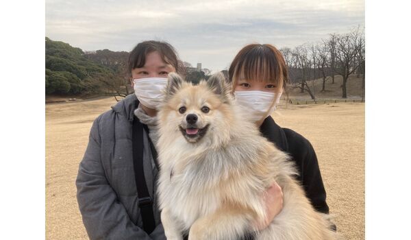 犬のしつけ教室・出張レッスン・無駄吠えの矯正レッスンを行うドッグスクール ヴィッセの今日のわん子～1月13日 
