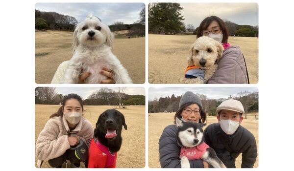 犬のしつけ教室・出張レッスン・無駄吠えの矯正レッスンを行うドッグスクール ヴィッセの今日のわん子達。～2月25日 