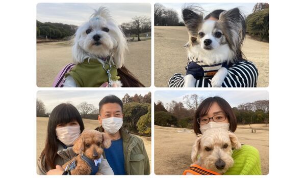 犬のしつけ教室・出張レッスン・無駄吠えの矯正レッスンを行うドッグスクール ヴィッセの今日のわん子達。～3月4日 