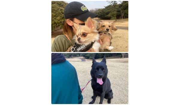 犬のしつけ教室・出張レッスン・無駄吠えの矯正レッスンを行うドッグスクール ヴィッセの今日のわん子達。～3月9日 