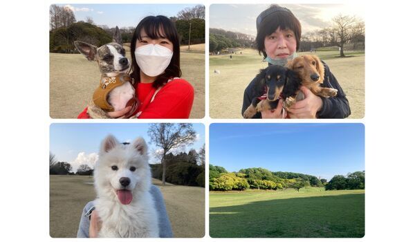犬のしつけ教室・出張レッスン・無駄吠えの矯正レッスンを行うドッグスクール ヴィッセの今日のわん子達。～3月10日 