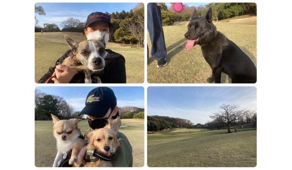 犬のしつけ教室・出張レッスン・無駄吠えの矯正レッスンを行うドッグスクール ヴィッセの今日のわん子達。～3月16日 