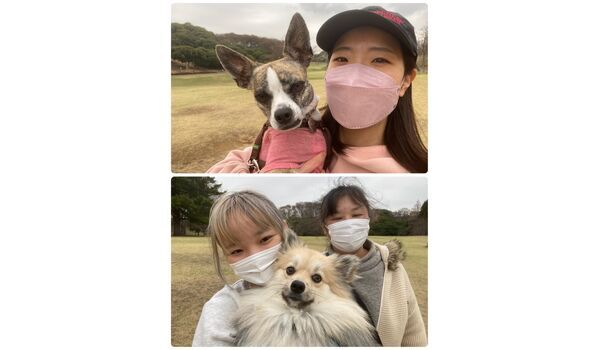 犬のしつけ教室・出張レッスン・無駄吠えの矯正レッスンを行うドッグスクール ヴィッセの今日のわん子達。～3月17日 