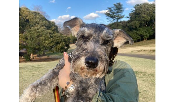 犬のしつけ教室・出張レッスン・無駄吠えの矯正レッスンを行うドッグスクール ヴィッセの新入生です。～3月18日 