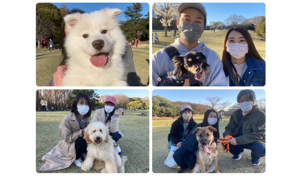 犬のしつけ教室・出張レッスン・無駄吠えの矯正レッスンを行うドッグスクール ヴィッセの今日のわん子達。～3月19日 