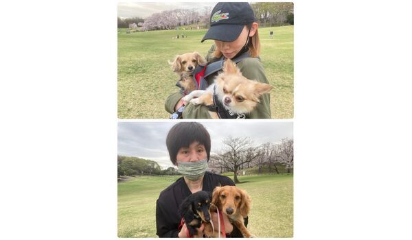 犬のしつけ教室・出張レッスン・無駄吠えの矯正レッスンを行うドッグスクール ヴィッセの今日のわん子達。～3月24日～