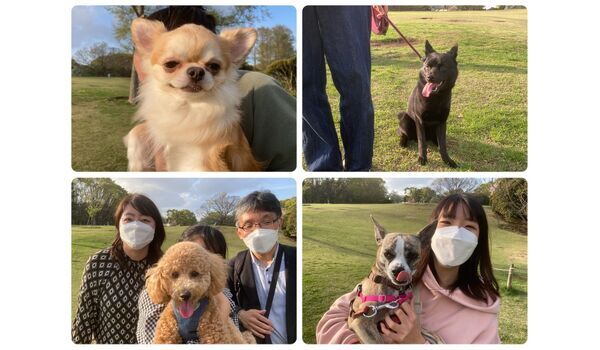 犬のしつけ教室・出張レッスン・無駄吠えの矯正レッスンを行うドッグスクール ヴィッセの今日のわん子達。～3月30日 
