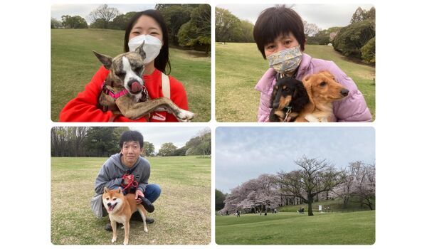 犬のしつけ教室・出張レッスン・無駄吠えの矯正レッスンを行うドッグスクール ヴィッセの今日のわん子達。～3月31日 