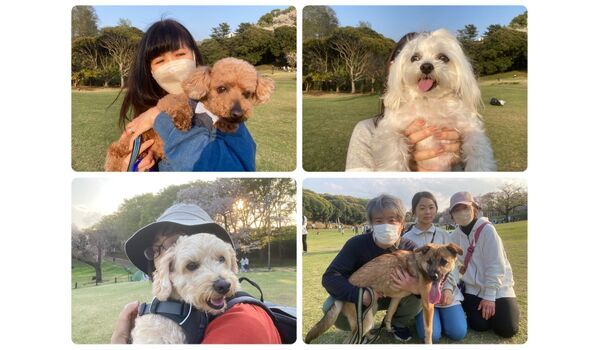 犬のしつけ教室・出張レッスン・無駄吠えの矯正レッスンを行うドッグスクール ヴィッセの今日のわん子達。～4月1日 
