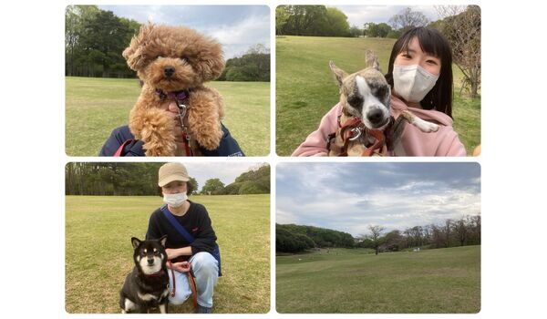 犬のしつけ教室・出張レッスン・無駄吠えの矯正レッスンを行うドッグスクール ヴィッセの今日のわん子達～4月5日 