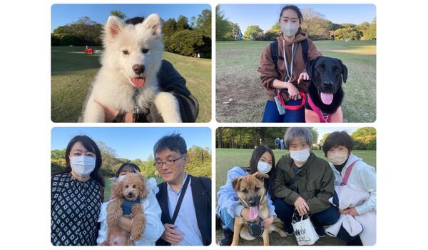 犬のしつけ教室・出張レッスン・無駄吠えの矯正レッスンを行うドッグスクール ヴィッセの今日のわん子達。～4月9日 