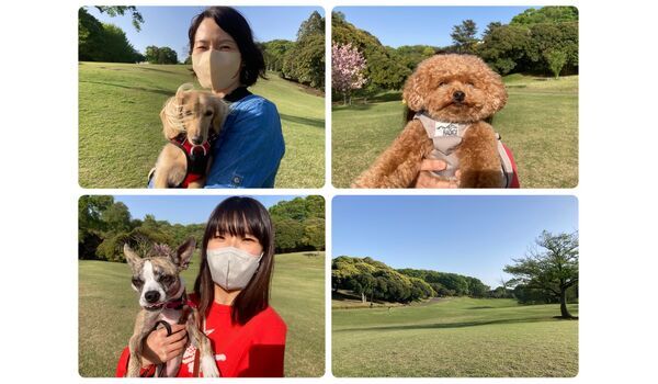 犬のしつけ教室・出張レッスン・無駄吠えの矯正レッスンを行うドッグスクール ヴィッセの今日のわん子達。～4月13日 