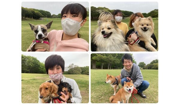 犬のしつけ教室・出張レッスン・無駄吠えの矯正レッスンを行うドッグスクール ヴィッセの今日のわん子達。～4月14日 