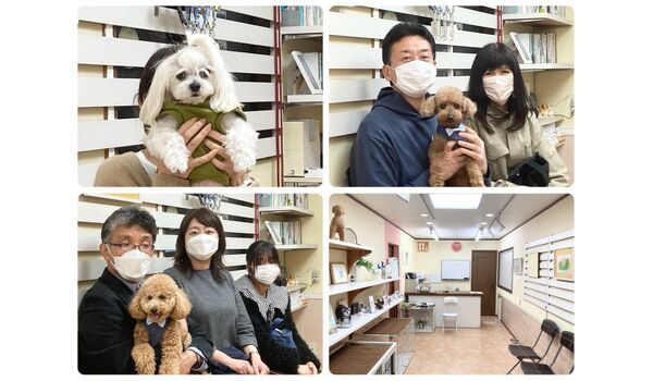 犬のしつけ教室・出張レッスン・無駄吠えの矯正レッスンを行うドッグスクール ヴィッセの今日のわん子達。～4月15日 