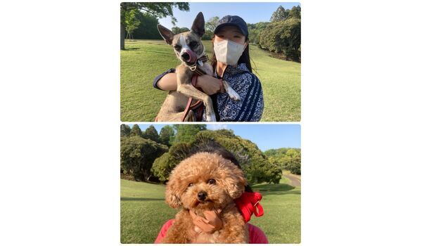 犬のしつけ教室・出張レッスン・無駄吠えの矯正レッスンを行うドッグスクール ヴィッセの今日のわん子達。～4月20日 