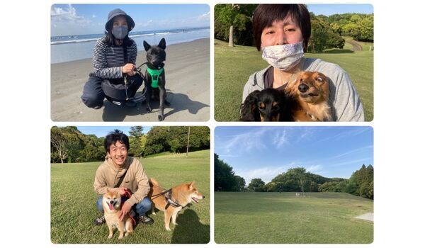犬のしつけ教室・出張レッスン・無駄吠えの矯正レッスンを行うドッグスクール ヴィッセの今日のわん子達。～4月29日 