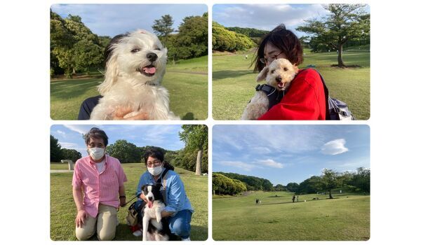犬のしつけ教室・出張レッスン・無駄吠えの矯正レッスンを行うドッグスクール ヴィッセの今日のわん子達。～5月6日 