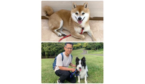 犬のしつけ教室・出張レッスン・無駄吠えの矯正レッスンを行うドッグスクール ヴィッセの今日のわん子達。～5月17日 