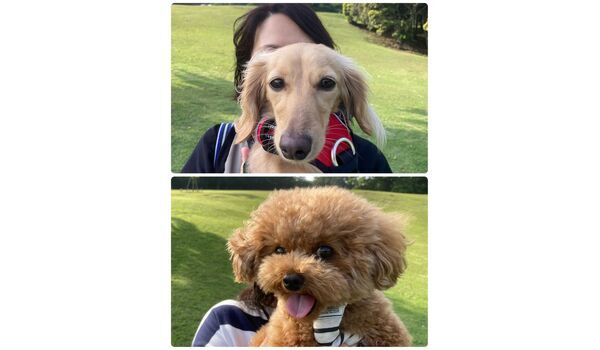 犬のしつけ教室・出張レッスン・無駄吠えの矯正レッスンを行うドッグスクール ヴィッセの今日のわん子達。～5月18日 