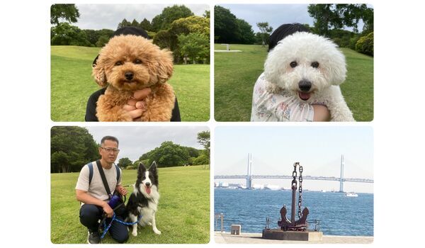 犬のしつけ教室・出張レッスン・無駄吠えの矯正レッスンを行うドッグスクール ヴィッセの今日のわん子達。～5月26日 
