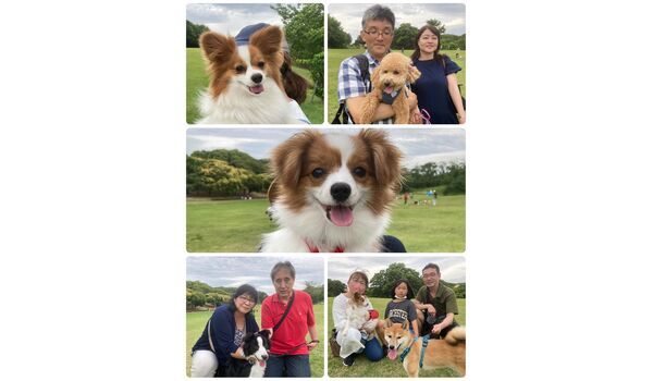 犬のしつけ教室・出張レッスン・無駄吠えの矯正レッスンを行うドッグスクール ヴィッセの今日のわん子達。～5月28日 