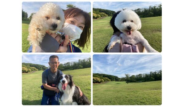 犬のしつけ教室・出張レッスン・無駄吠えの矯正レッスンを行うドッグスクール ヴィッセの今日のわん子達。～6月1日 