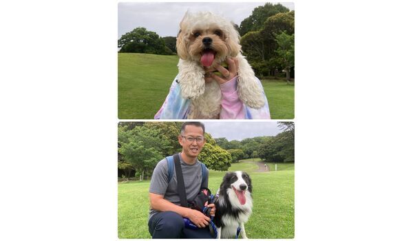 犬のしつけ教室・出張レッスン・無駄吠えの矯正レッスンを行うドッグスクール ヴィッセの今日のわん子達。～6月8日 