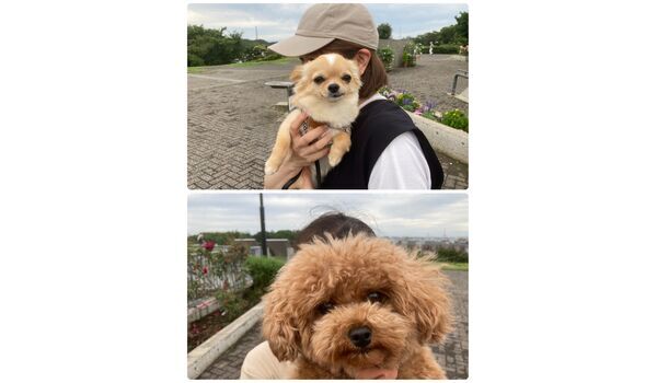 犬のしつけ教室・出張レッスン・無駄吠えの矯正レッスンを行うドッグスクール ヴィッセの今日のわん子達。～6月9日 