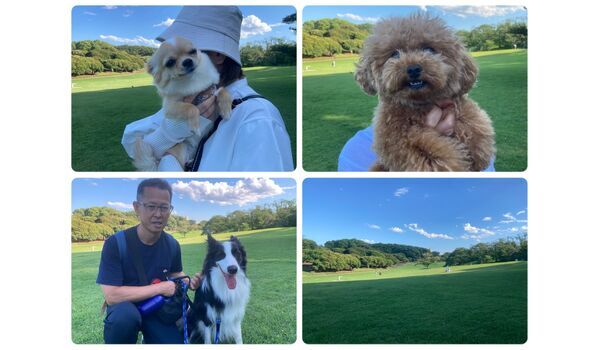 犬のしつけ教室・出張レッスン・無駄吠えの矯正レッスンを行うドッグスクール ヴィッセの今日のわん子達。～6月16日 