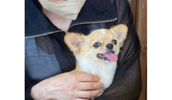 犬のしつけ教室・出張レッスン・無駄吠えの矯正レッスンを行うドッグスクール ヴィッセの今日のわん子。～6月30日 