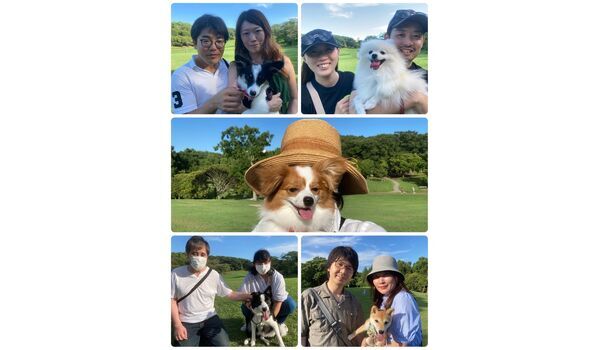 犬のしつけ教室・出張レッスン・無駄吠えの矯正レッスンを行うドッグスクール ヴィッセの今日のわん子。～7月2日 