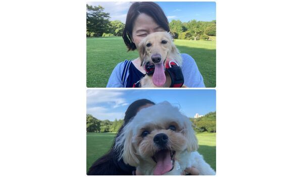犬のしつけ教室・出張レッスン・無駄吠えの矯正レッスンを行うドッグスクール ヴィッセの今日のわん子達。～7月6日 