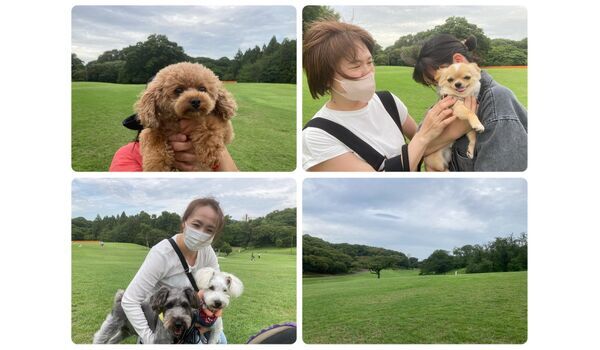 犬のしつけ教室・出張レッスン・無駄吠えの矯正レッスンを行うドッグスクール ヴィッセの今日のわん子達。～7月7日 
