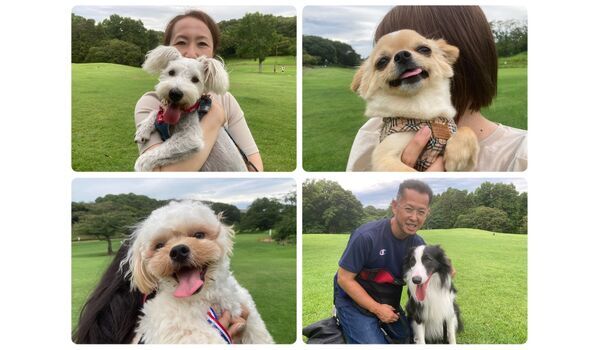 犬のしつけ教室・出張レッスン・無駄吠えの矯正レッスンを行うドッグスクール ヴィッセの今日のわん子達。～7月13日 