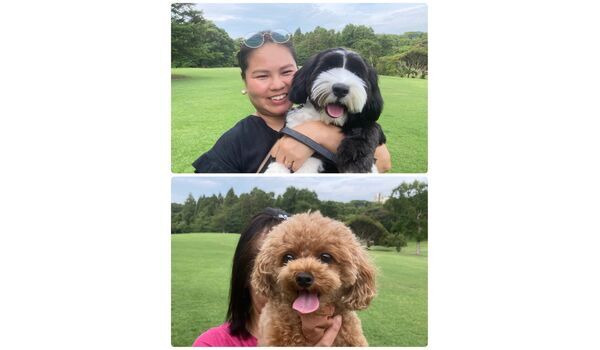 犬のしつけ教室・出張レッスン・無駄吠えの矯正レッスンを行うドッグスクール ヴィッセの今日のわん子達。～7月14日 
