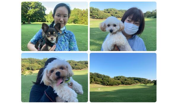 犬のしつけ教室・出張レッスン・無駄吠えの矯正レッスンを行うドッグスクール ヴィッセの今日のわん子達。～7月20日 