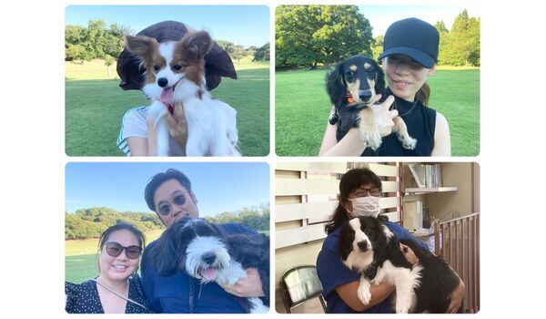 犬のしつけ教室・出張レッスン・無駄吠えの矯正レッスンを行うドッグスクール ヴィッセの今日のわん子達。～7月23日 