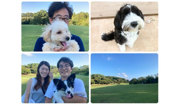 犬のしつけ教室・出張レッスン・無駄吠えの矯正レッスンを行うドッグスクール ヴィッセの今日のわん子達。～8月5日 